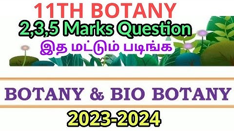 11TH STD BOTANY PUBLIC EXAM MARCH-2024 IMPORTANT 2,3,5 MARKS QUESTION BANK II 11TH BOTANY QUESTION 🔴