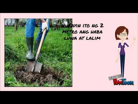 Paraan ng paggawa ng compost pit ( with music) - YouTube