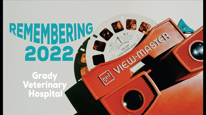 Remembering 2022 at Grady Vet