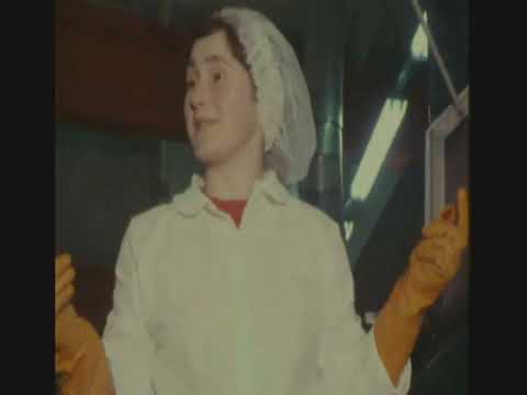 Letterkenny Chip factory - 1981 & 1987  (Donegal; Ireland)