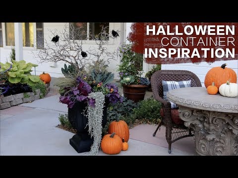 Video: Halloween Container Inspiration // Garden Answer