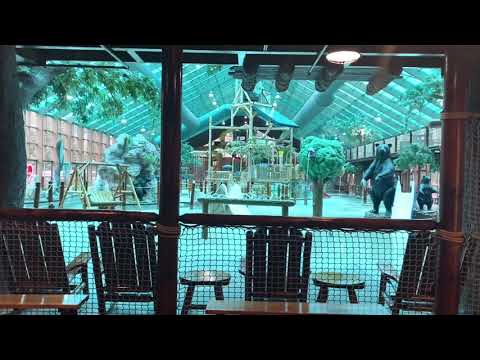 Video: Westgate Smoky Mountain Resort - Wild Bear Falls аквапаркы