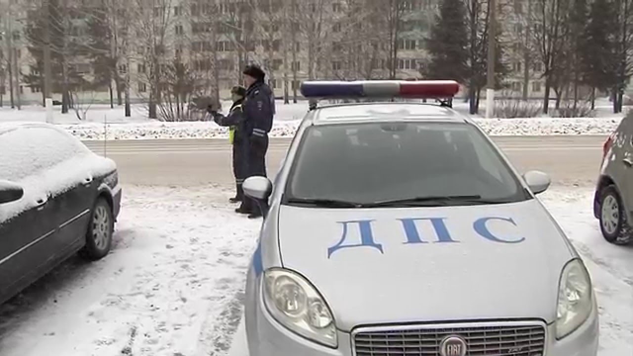 Нижнекамск осаго адреса