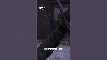 Mummy Prisoners escape while we were trying to capturing more… #dayz #namalsk #gaming #funny