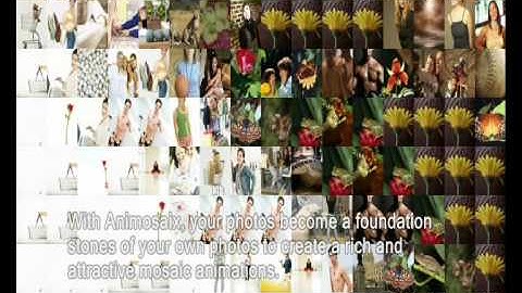 Animosaix Screen Saver - Animated Photomosaics