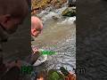 🐟 Repopulare cu 400 de păstrăvi indigeni 12.11.2025 #romania #fishing #nature