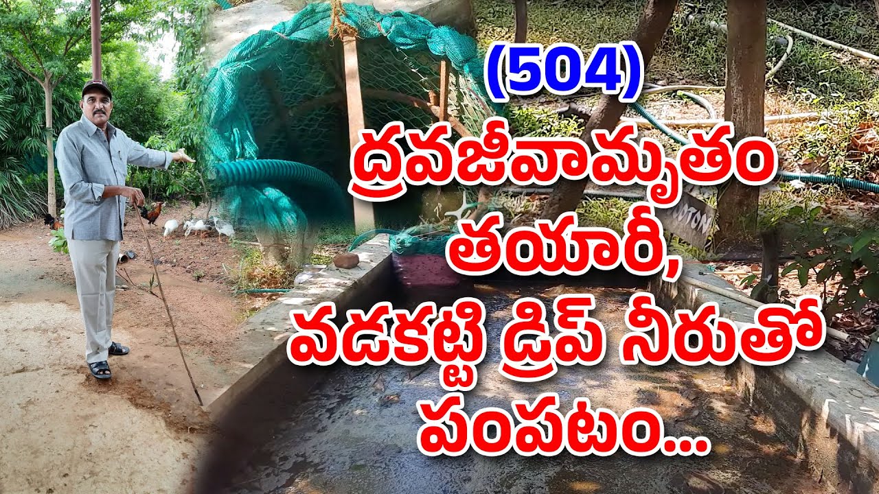 Dhravajeevamrutham preparation & exotic fruit plants hari babu