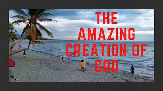 THE AMAZING CREATION OF GOD