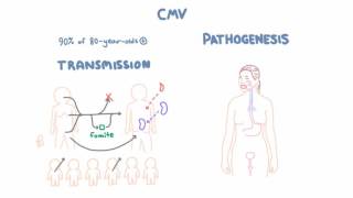 CMV Virology - Epidemiology and Pathophysiology