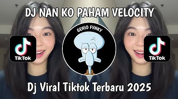 DJ VELOCITY NAN KO PAHAM TREND VIRAL REMIX TIKTOK 2025