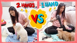 Grooming my Dogs with a Hands-Free Pet Dryer | Little Paws Petietec Handily2 Review | The Poodle Mom by The Poodle Mom 1,683 views 1 year ago 15 minutes