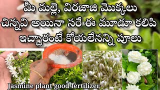 Best fertilizer for Jasmine and virajaji plant |liquid fertilizer for all plants in telugu