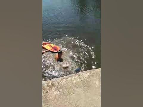 Brácha skáče do vody - YouTube