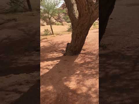 اترك لغيرك المكان نظيف بعد ماخلصنا نظفنا مكاننا 1444 11 14