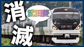 【0番台・武田菱消滅】E257系M-111編成 長野へ回送