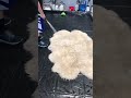 Amazing Sheepskin Rug Cleaning So Satisfying