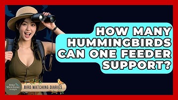How Many Hummingbirds Can One Feeder Support? - Bird Watching Diaries