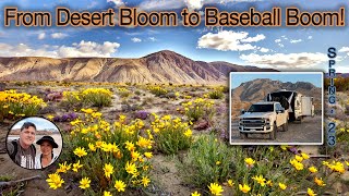Boondocking in the Anza Borrego Desert!  Spring '23