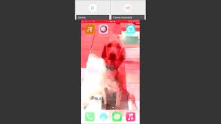 ContinuLink Mobile Edge App - How to Clock In and Out screenshot 5