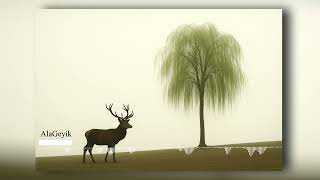 Ala Geyik Ne Boynunu Sallarsın Resimi