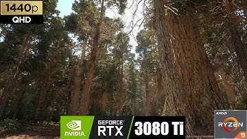 [QHD] UNREAL ENGINE 5.1 | REDWOOD FOREST BIOME | NANITE + LUMEN | RTX 3080Ti | Ryzen 9 5900X