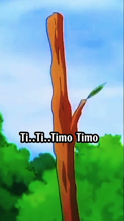 Timo Timo