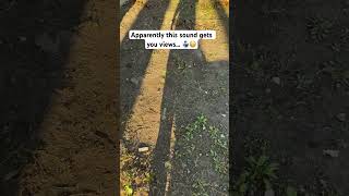 Apparently, the sun gets you  views