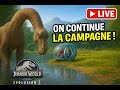 ON CONTINUE LA CAMPAGNE : LE BASSIN DU SICHUAN (Partie 1) 🦕