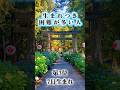 私が直接、あなたの魂を視ます。👉【特別霊視鑑定】はプロフィールから🐉#shorts #恋愛 #恋愛占い #占い #霊視 #縁切り #縁結び