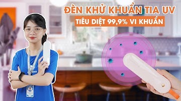 Trên tay đèn khử trùng bằng tia UV | Tiêu diệt đến 99,9% các loại vi khuẩn