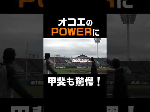 オコエのパワーに、甲斐も驚愕！ #shorts