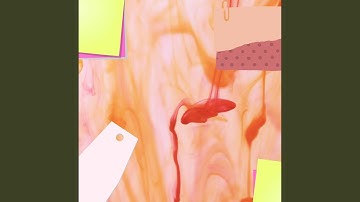 Elegant Backdrops for Discovering New Passions