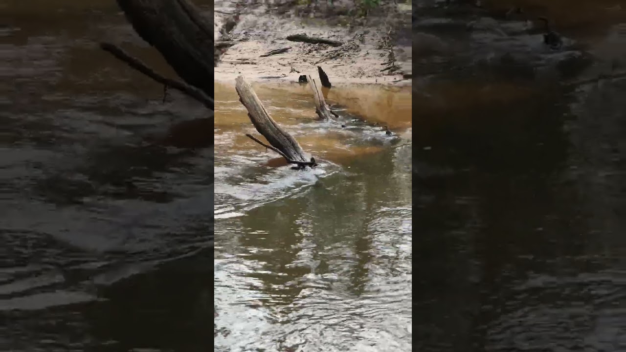 🙏 Méditons avec toutes les vibrrrrrrations de l'eau 💦🧘‍♀️💎🤍🫧🪽