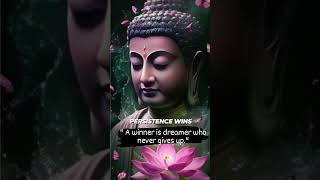 Never Ever Give On Your Dream meditation peace nature relaxing daily