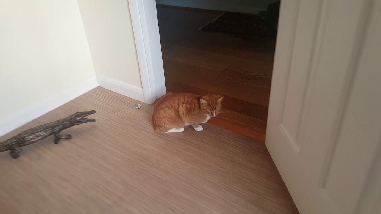 Henry Clancy-Cooper 5