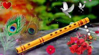 surili magic tone