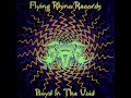 Boyd In The Void [Full Compilation] Flying Rhino Records (1995) [Goa Trance, Acid Trance]