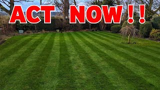 If you want a good lawn this spring do this NOW by Premier Lawns 103,679 views 3 months ago 18 minutes