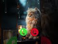 Mi Calling Ringtone ЁЯдЩЁЯШОЁЯШОЁЯдг Ringtone Smartphone Music Ringtones Song Cat Mi Calling Ringtone ЁЯдЩЁЯШОЁЯШОЁЯдг Ringtone Smartphone Music Ringtones Song Cat