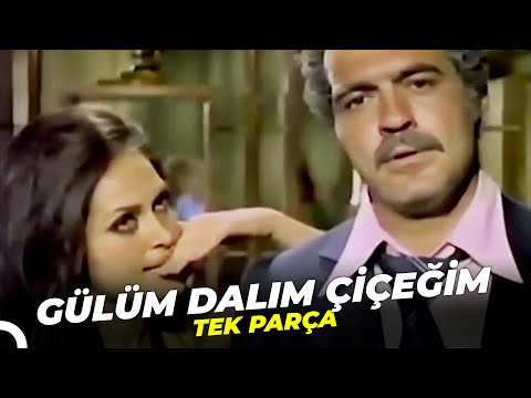 Gülüm Dalım Çiçeğim | Türkan Şoray Türk Filmi