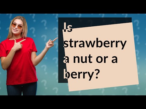 Video: Strawberry is a nut or a berry?