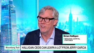 AI Startups Should Raise More Now: Sequoia’s Halligan