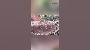 Kinh hoàng: Vỡ hố chôn rác ở Quảng Ngãi, rác thải tràn xuống ao cá, ruộng vườn #vovgiaothong