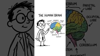 3 daily hacks to rewire your brain