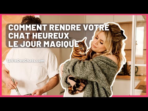 Vidéo: Vieux chiens, nouvelles habitudes: moyens de rendre les chiens plus âgés plus confortables