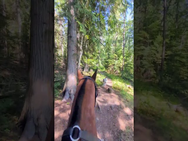 Do you wanna ride a horse with me?