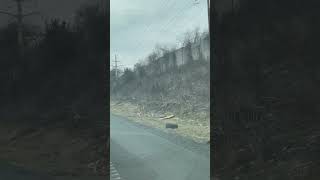 IMG 7120