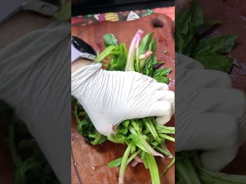 "시금치 맛은 옹심이!"