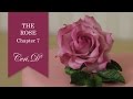 The Rose #7 | Rose Calyx