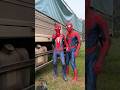 #shorts #funny #memes #viral #tiktok #spiderman